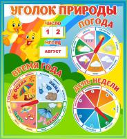 Уголок природы Утята
