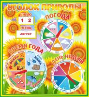 Уголок природы Подсолнушки