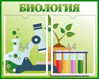 Стенд в зеленом Биология на 2 кармана А4
