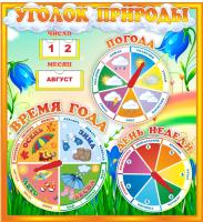 Уголок природы Колокольчик