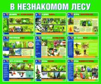 Стенд "В незнакомом лесу" (размер: 1200x1000 мм)