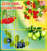 Стенд для родителей Ягодки