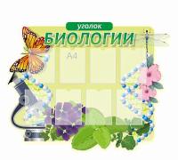Стенд по биологии 12