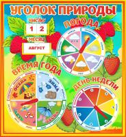 Уголок природы Земляничка